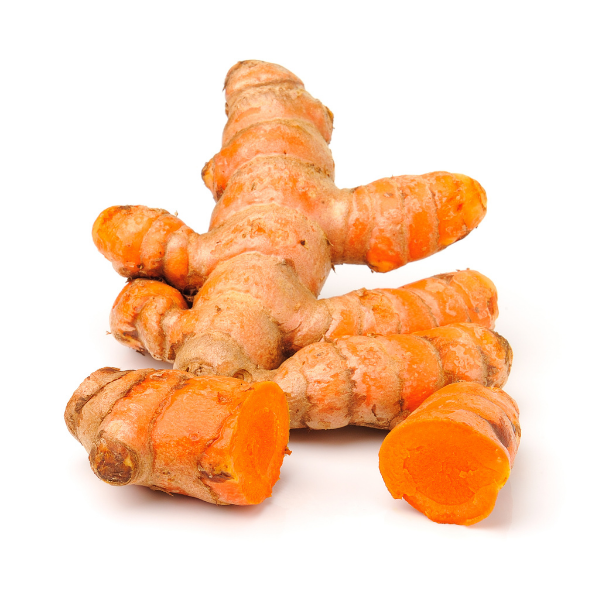 Curcuma