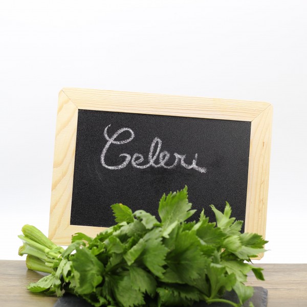 Céleri
