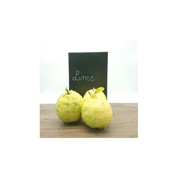 Lime Martinique