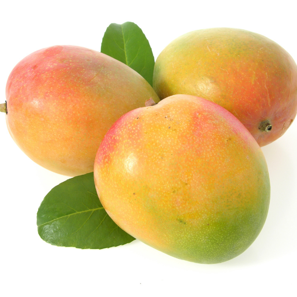 Mangue et mangot Martinique