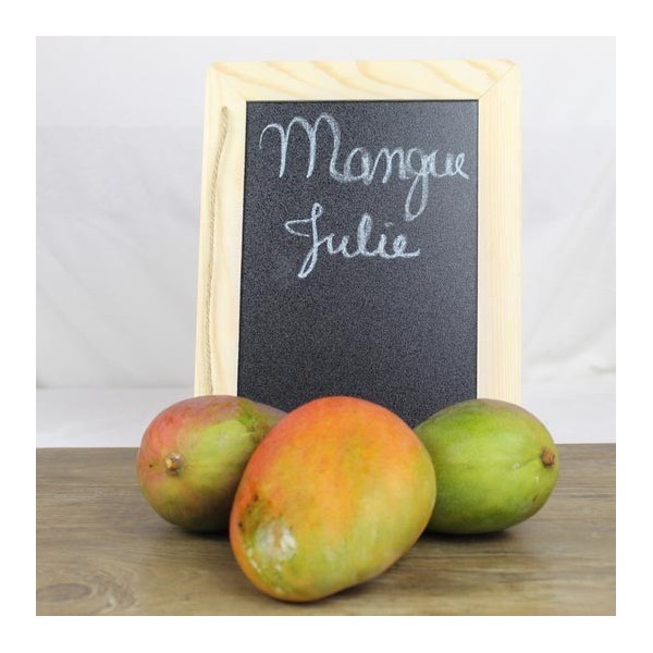 Mangue Julie  Martinique
