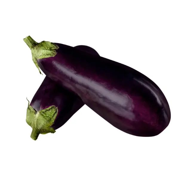 Aubergine