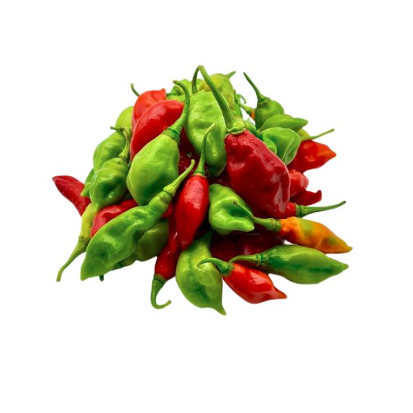 Piment Végétarien