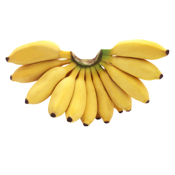 Banane "fig pom" (banane dessert)