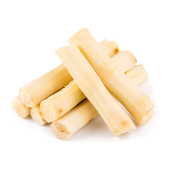 Canne à sucre