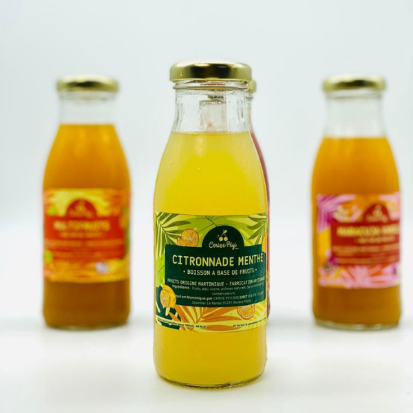 Citronnade menthe 500ml