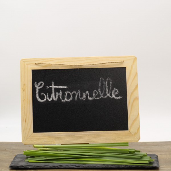 Citronnelle